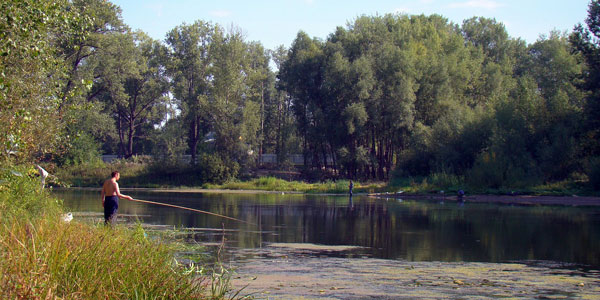 Ловля на поплавочную удочку