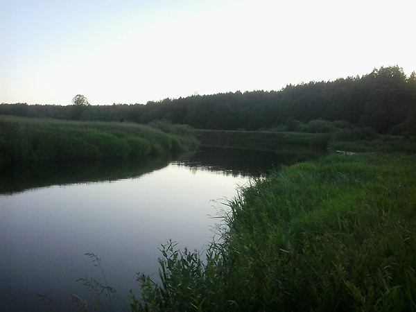 река Птичь