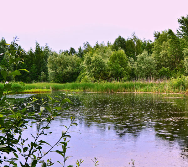клев в дождь