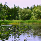 дождь рыбалка