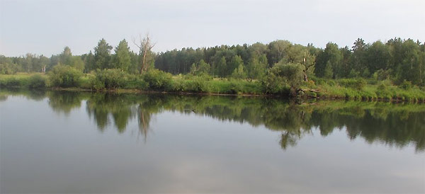 рыбалка на оби
