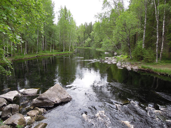 рыбалка с берега