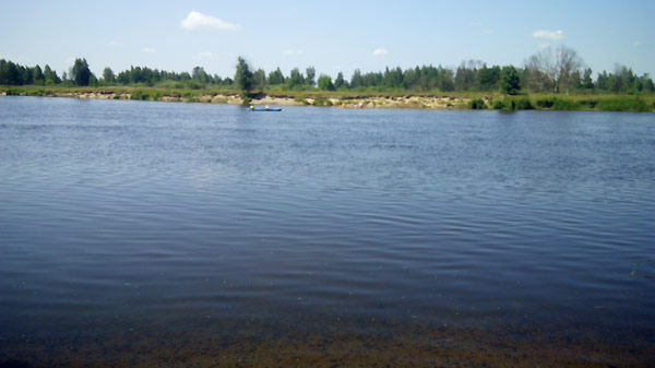 рыбалка на реке Сож