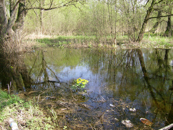 рыбалка на реке