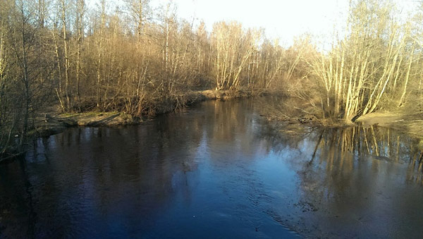 рыбалка в половодье
