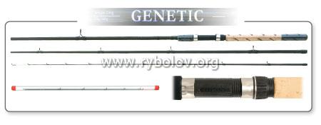 surf-master-genetic