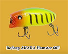 Hamster
