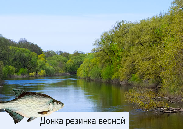 ловля весной