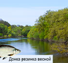 Ловля на донку резинку весной – делимся опытом