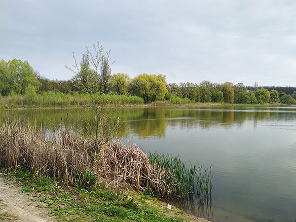 весна рыбалка