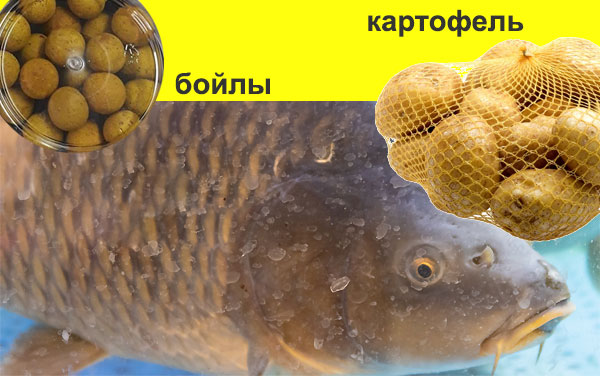 карп насадки
