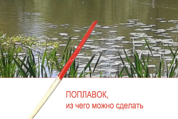 поплавок на удочку