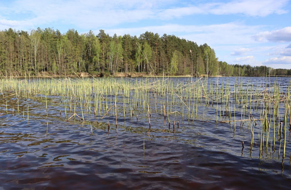 Вилейское водохранилище