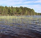 Рыбалка на Вилейском водохранилище
