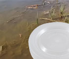 Самодельная кормушка соска на илистом дне