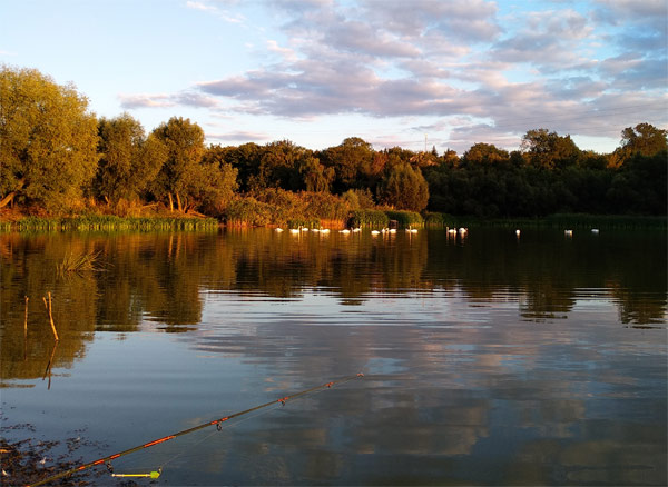 осень рыбалка