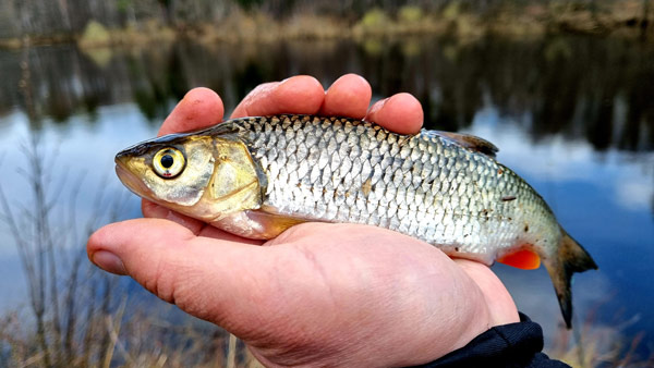 рыбалка