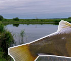  Ловля линя летом на мормышку