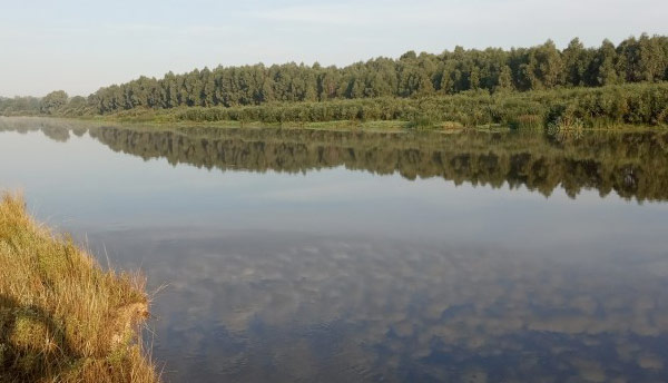 осень река