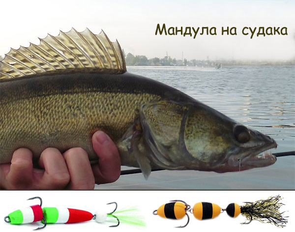 мандула