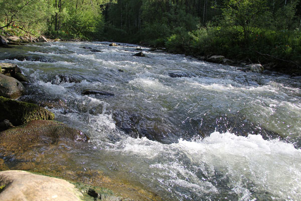 рыбалка