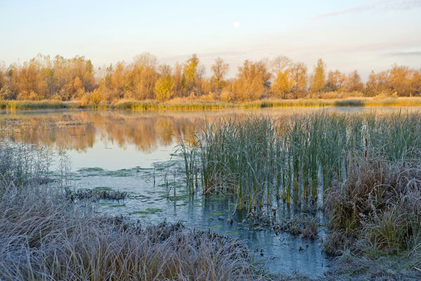 осень река