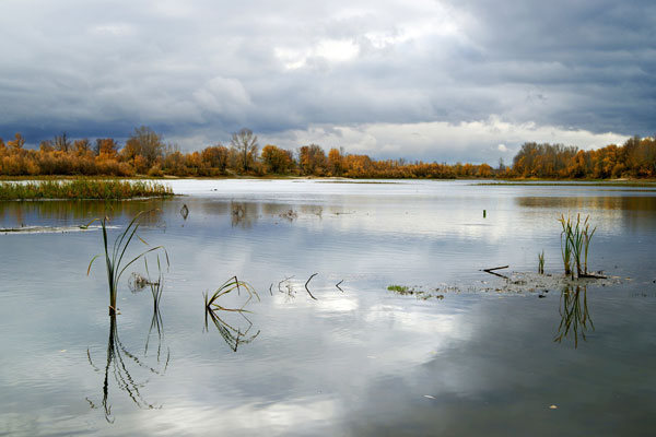 осень рыбалка