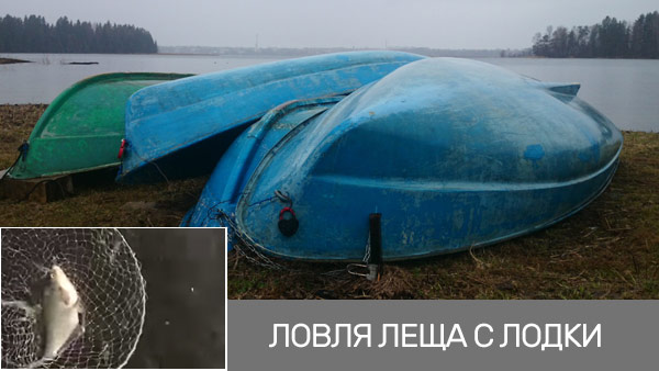 ловля леща с лодки