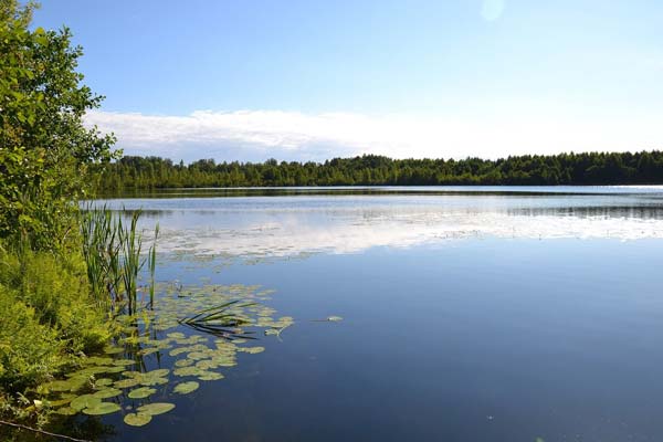 рыбалка