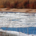 Ловля на кивок весной по открытой воде – делимся опытом