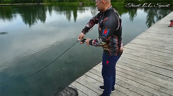 ловля форели