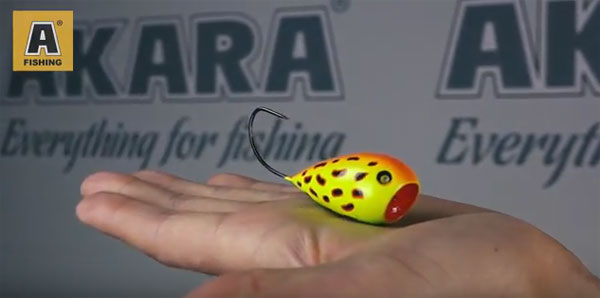 AkaraCrazyEgg 5