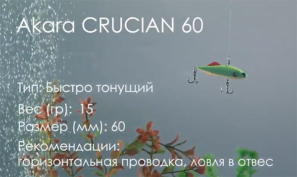 Crucian 60