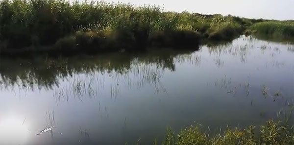 ловля щуки на воблер