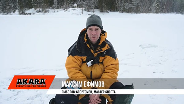 Максим Ефимов эксперт