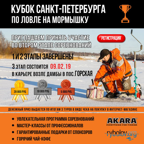3 этап 9 февраля 2019