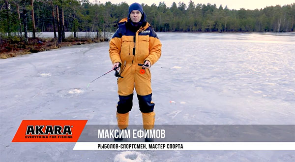 Эксперт Максим Ефимов
