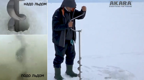 Ушково финский залив