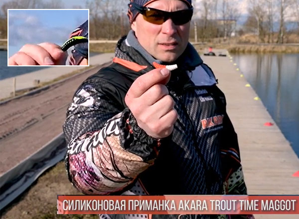 двухцветная приманка maggot