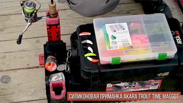 двухцветная резина akara maggot