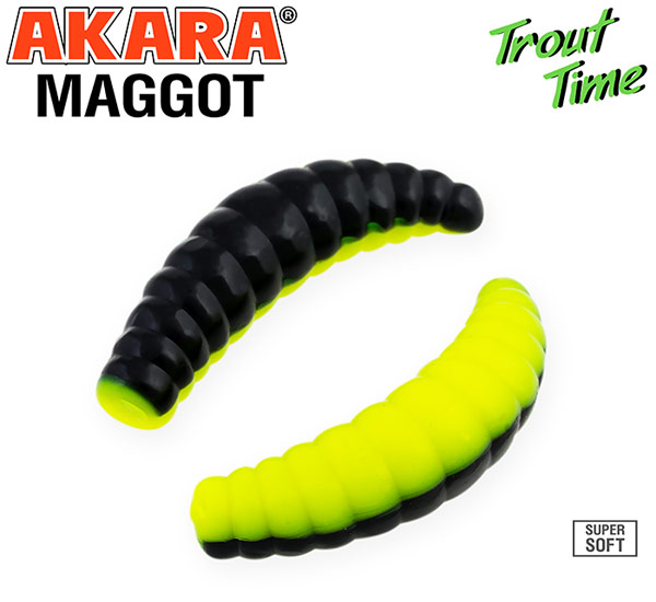 maggote akara