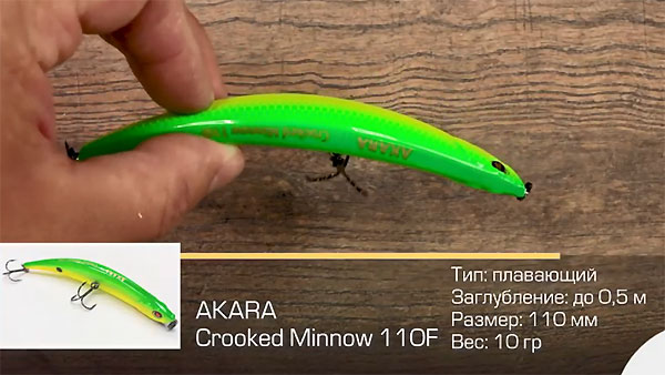crooked minnow