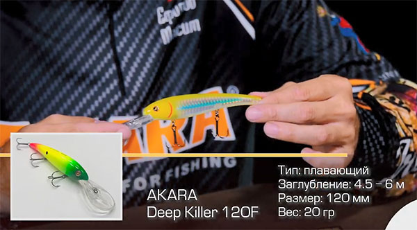 Deep Killer