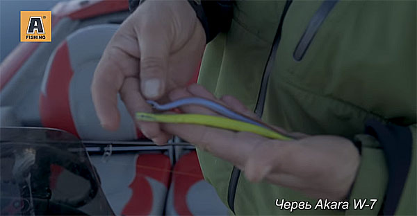 черви akara w7