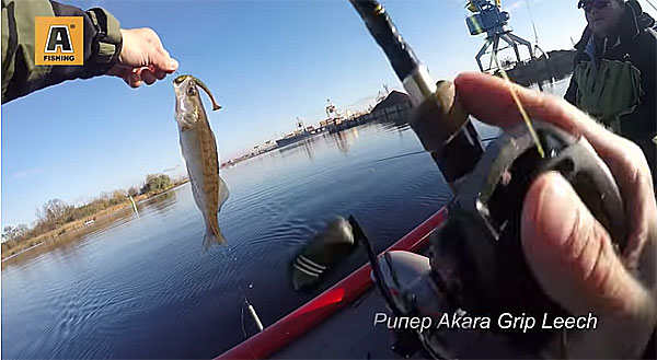 ripper grip Leech