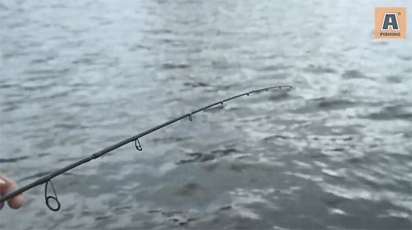 spin black bass