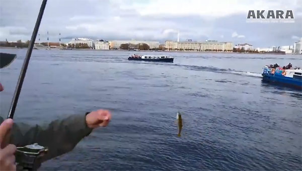 ловля окуня в центре Петербурга