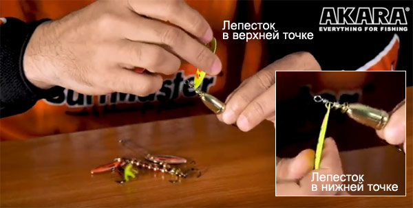 вращение лепестка