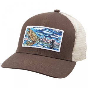 Кепка Simms Artist Foam Trucker Cap Brown
